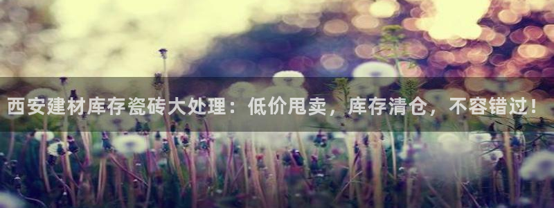 杏鑫平台平台娱乐