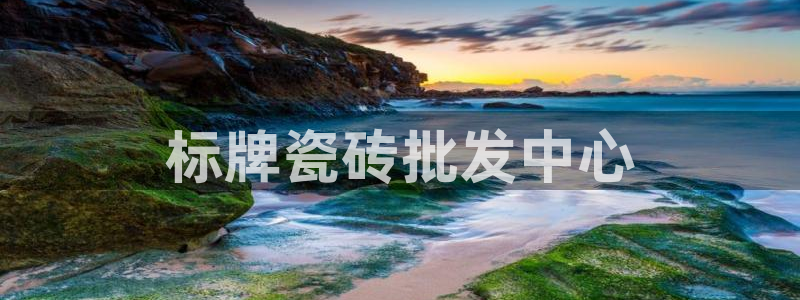 杏鑫主管