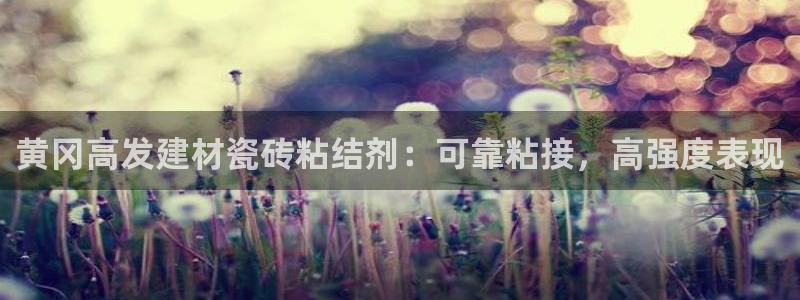 杏鑫平台下载安装