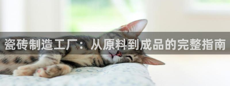 杏鑫官网最新信息新闻