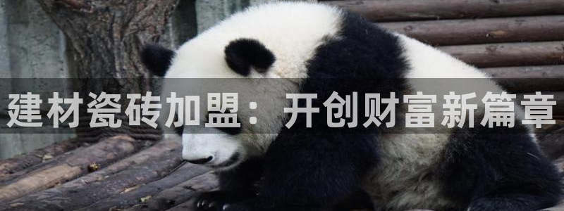 杏鑫平台怎么样黑钱吗知乎