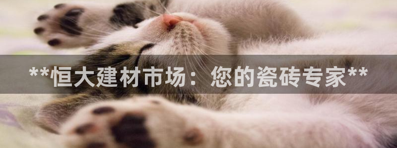 杏鑫平台正规吗