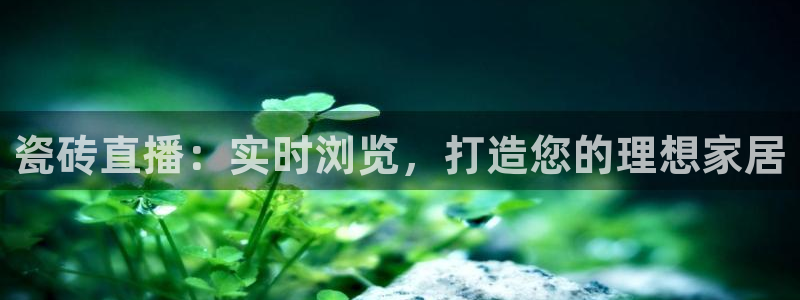 杏鑫平台怎么样黑钱吗知乎推荐