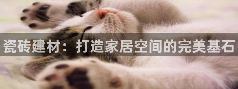杏鑫官方平台怎么样啊