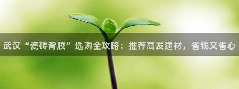 杏鑫平台代理注册流程视频