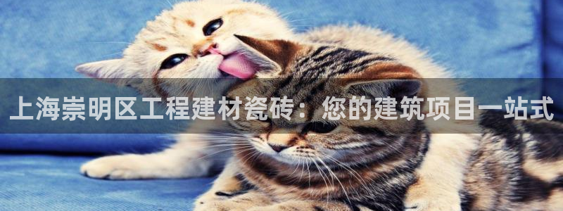 杏鑫官网注册账号怎么注册不了