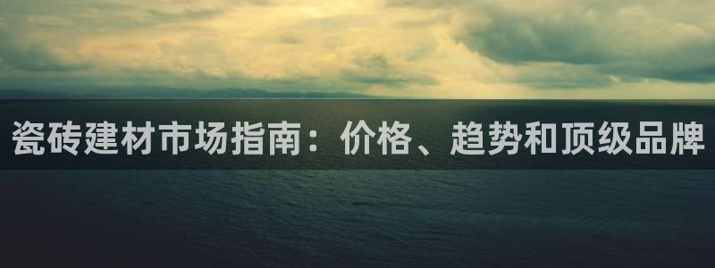 杏鑫3主管