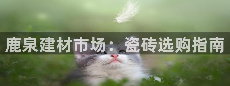 杏鑫娱乐测速