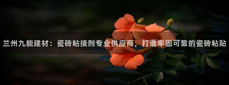 杏鑫招商总代