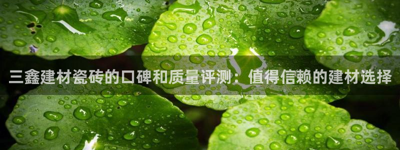 杏鑫娱乐平台登录注册网站