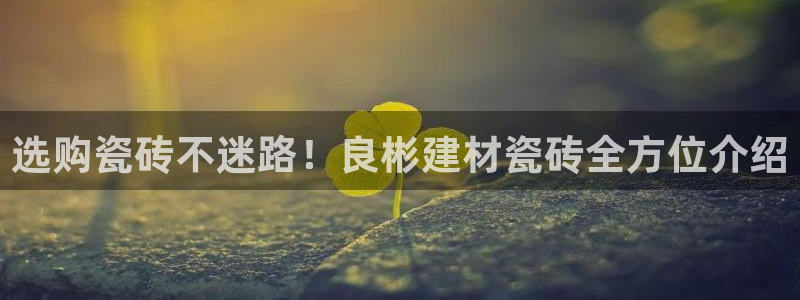 杏鑫平台登录地址查询