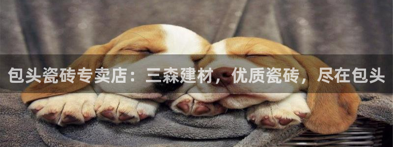 杏鑫注册地址