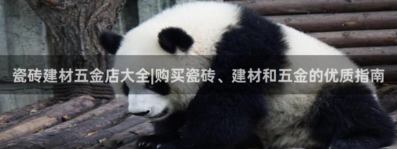杏鑫手机客户端怎么下载