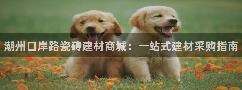 杏鑫平台怎么样黑钱吗安全吗是真的吗