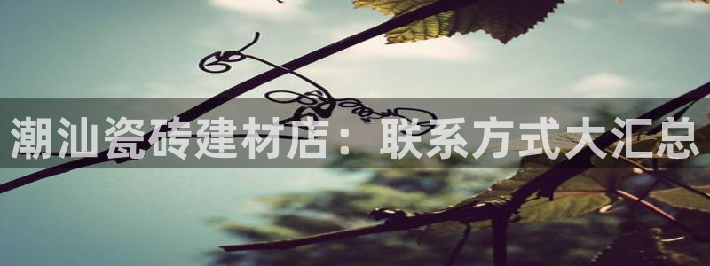 杏鑫平台待遇