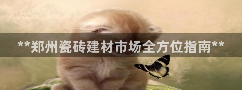 杏鑫官网注册账号怎么注册