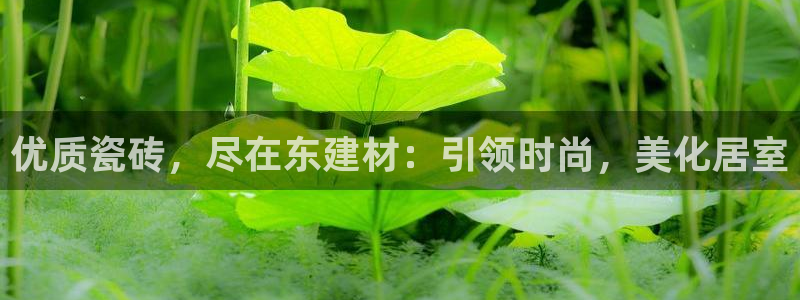 杏鑫平台招商电话是多少