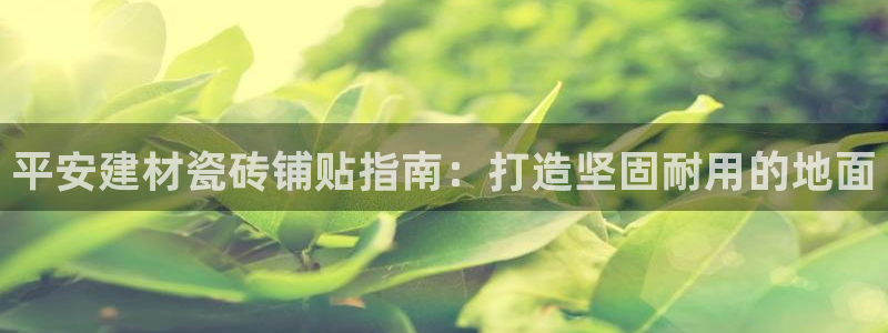 杏鑫平台登录注册