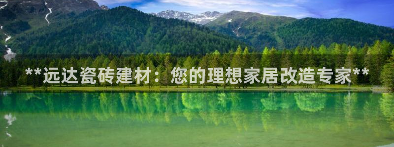 杏鑫平台代理注册流程图