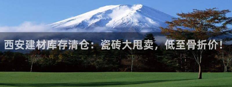 杏鑫平台登录地址