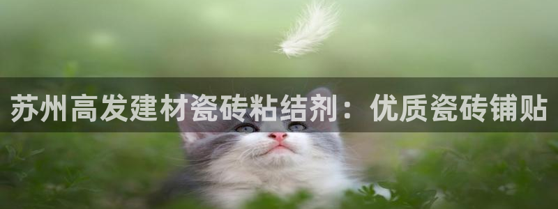 杏鑫平台登录地址查询