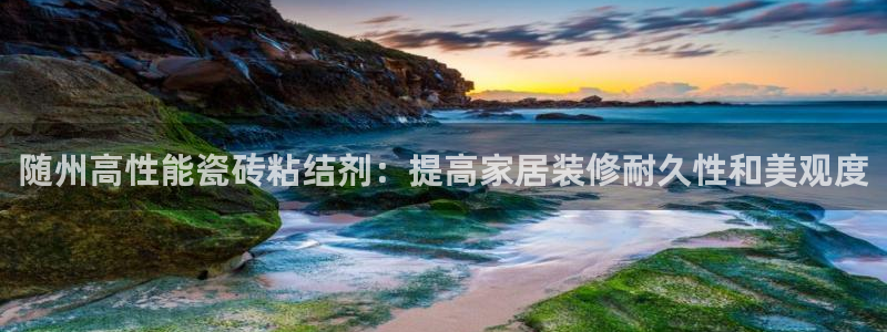 杏鑫主管
