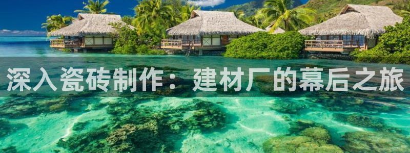 杏鑫平台广7O777