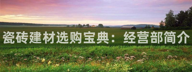 杏鑫平台代理怎么样赚钱