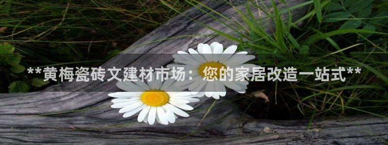 杏鑫平台怎么样黑钱吗