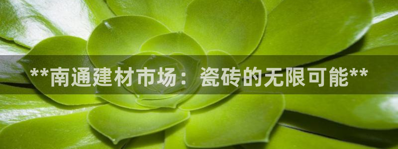 杏鑫平台怎么样黑钱吗
