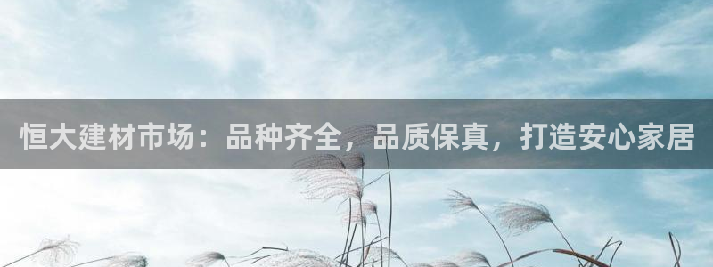 杏鑫平台代理怎么做