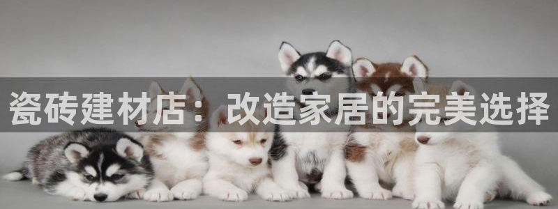杏鑫有亏损返点吗