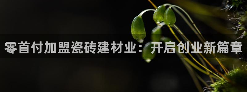 杏鑫平台号7O777