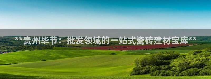 杏鑫官方平台怎么样啊
