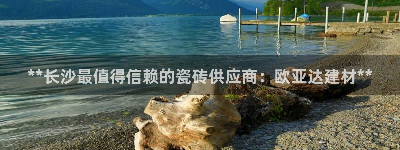 杏鑫平台登录地址