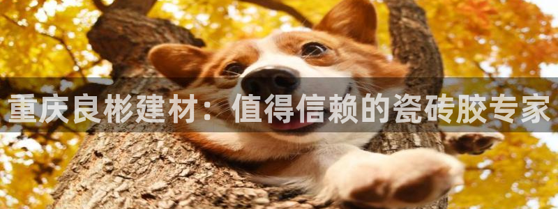 杏鑫娱乐官网下载
