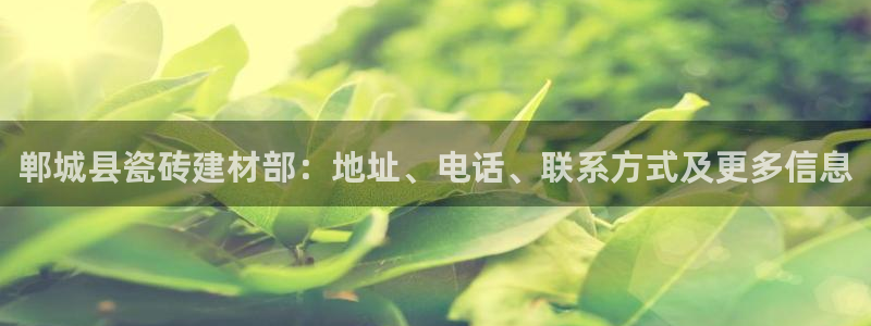 杏鑫官网最新信息新闻