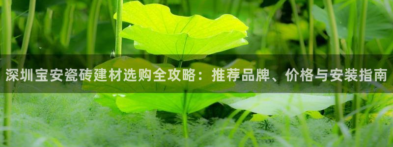杏鑫平台官方网站