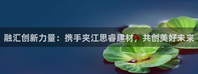 杏鑫平台怎么样知乎