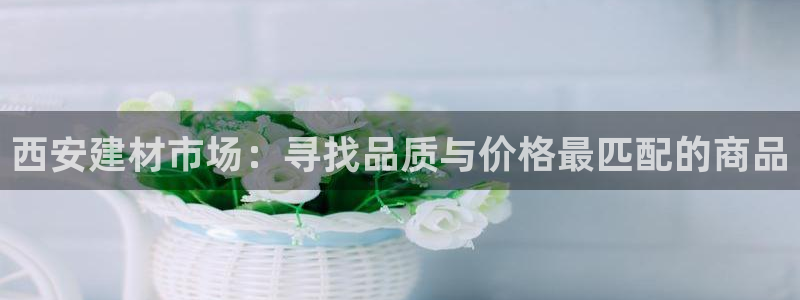 杏鑫平台招商