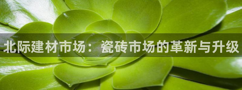杏鑫平台登陆