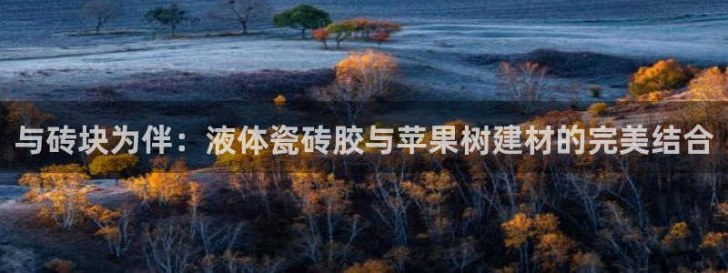 杏鑫平台正规吗