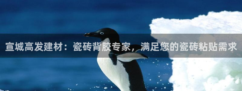 杏鑫平台是黑平台吗