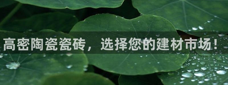 杏鑫平台正规吗是真的吗