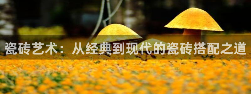 杏鑫平台列7O777