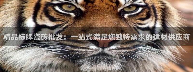 杏鑫平台代理怎么样赚钱