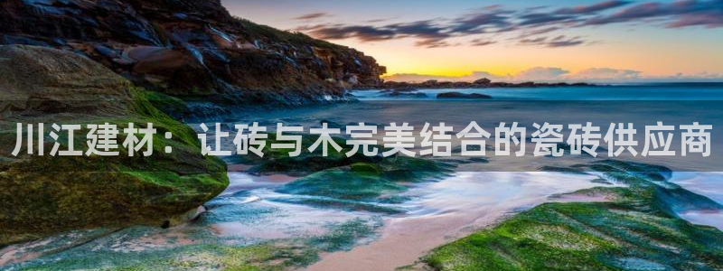 杏鑫官网最新信息新闻