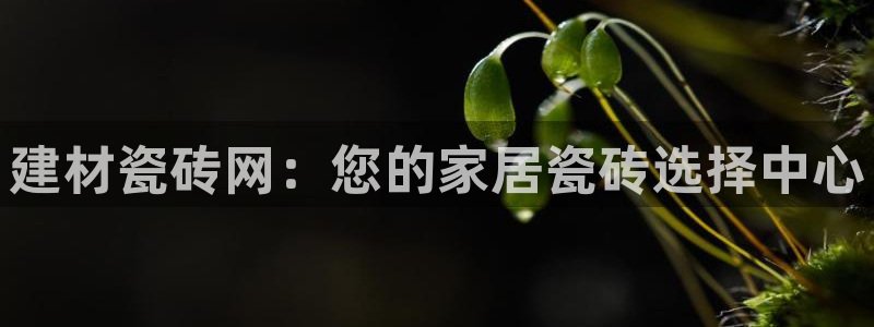 杏鑫平台念7O777