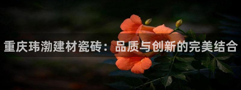 杏鑫平台招商