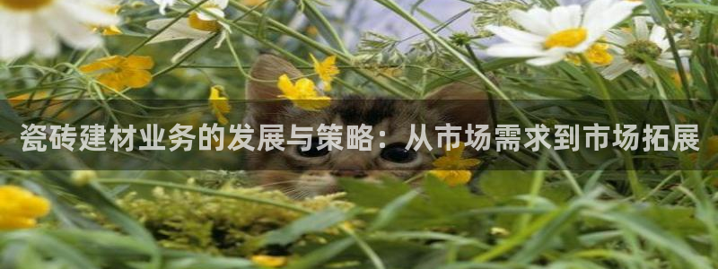 杏鑫平台代理